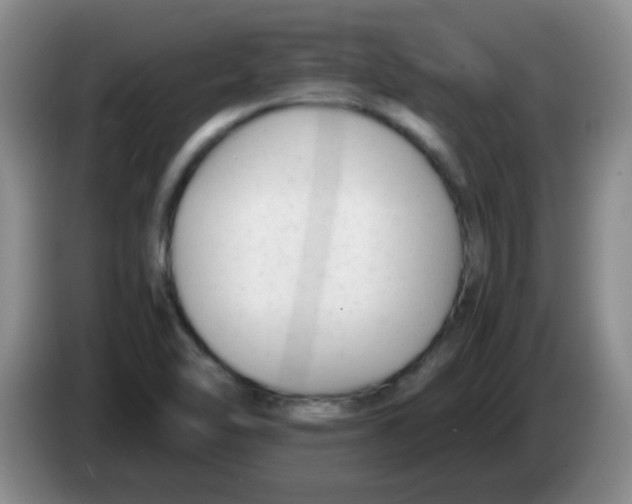 X0000083561462200703091606