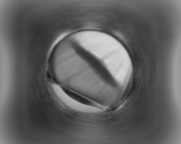 X0000083561463200703091606