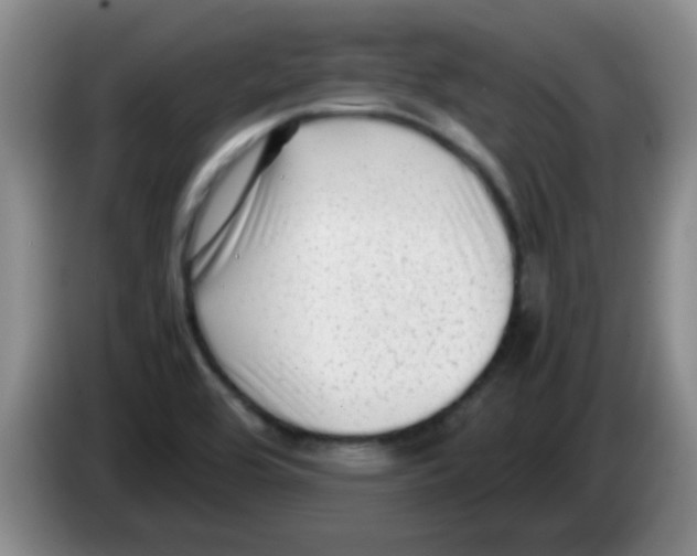 X0000083561464200703091606