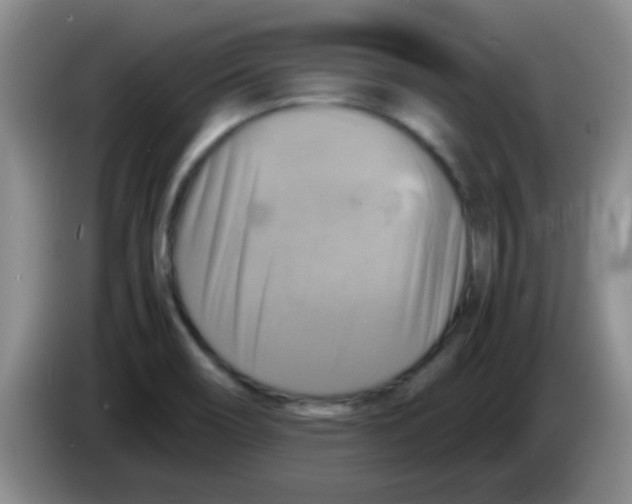 X0000083561466200703091606