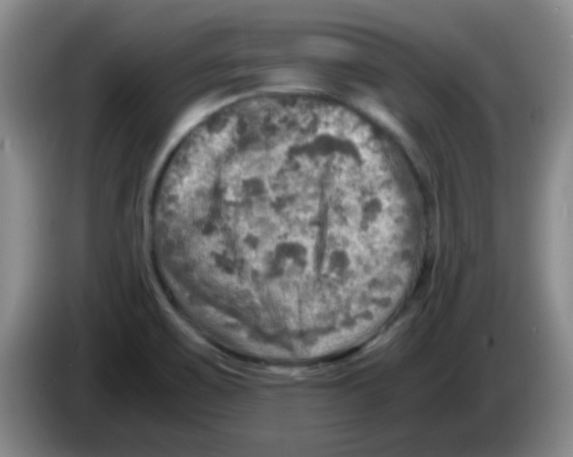 X0000083561467200703091606