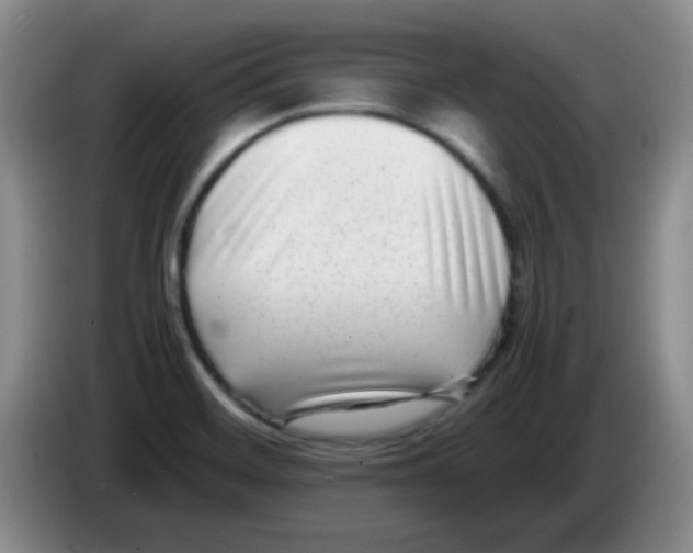 X0000083561468200703091606