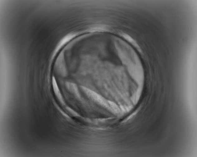 X0000083561469200703091606