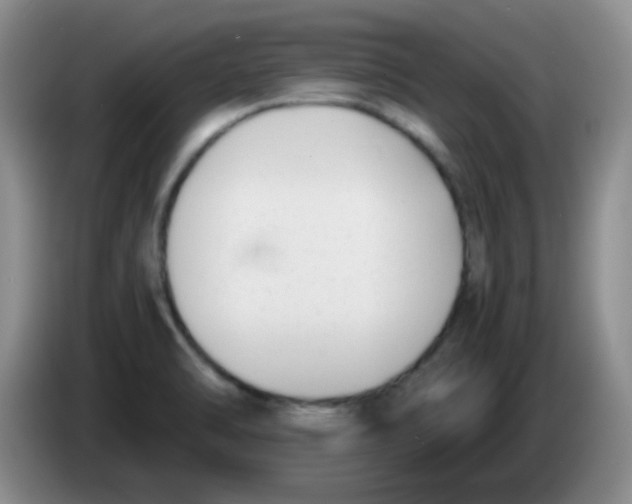 X0000083561470200703091606