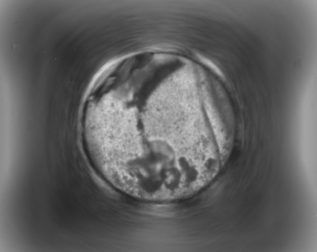 X0000083561471200703091606