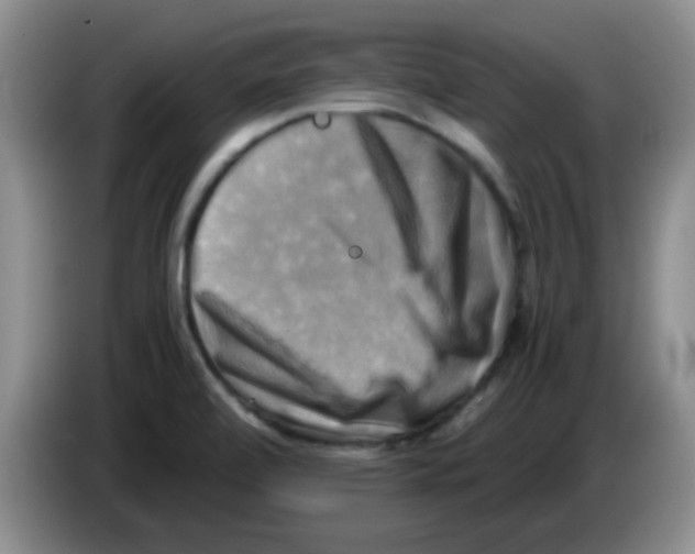 X0000083561472200703091606