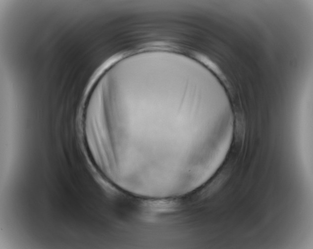 X0000083561474200703091606