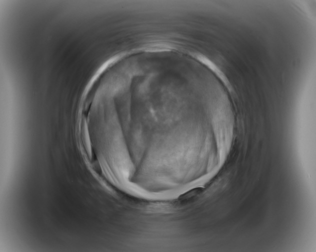 X0000083561477200703091606