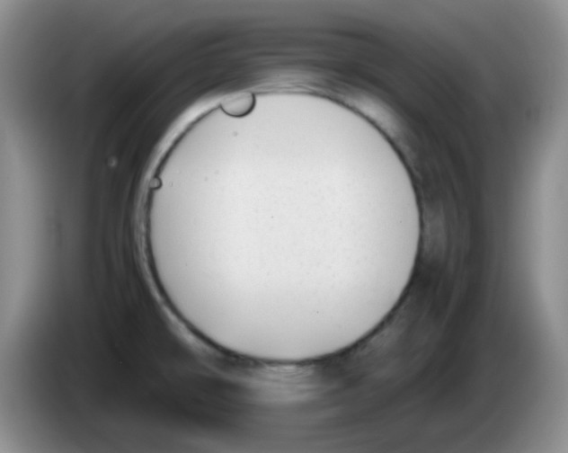 X0000083561478200703091606