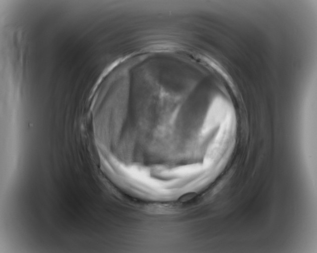 X0000083561481200703091606