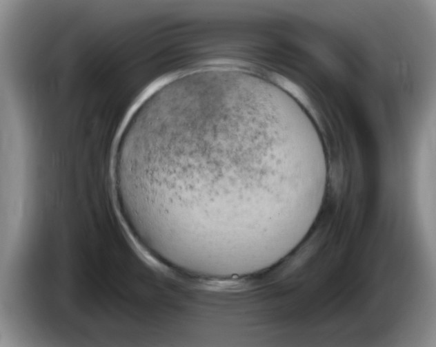 X0000083561482200703091606