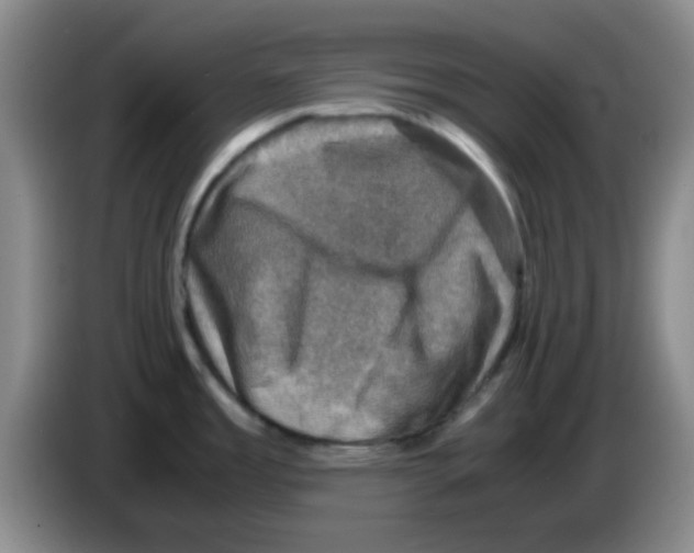 X0000083561485200703091606