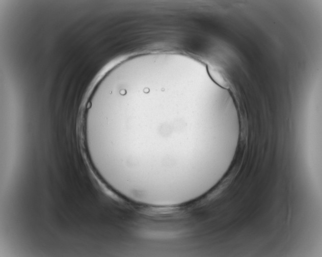 X0000083561486200703091606