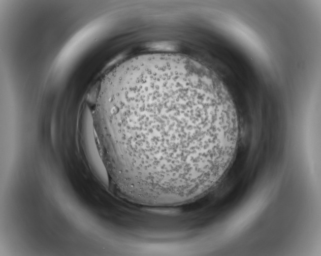 X0000083561487200703091606