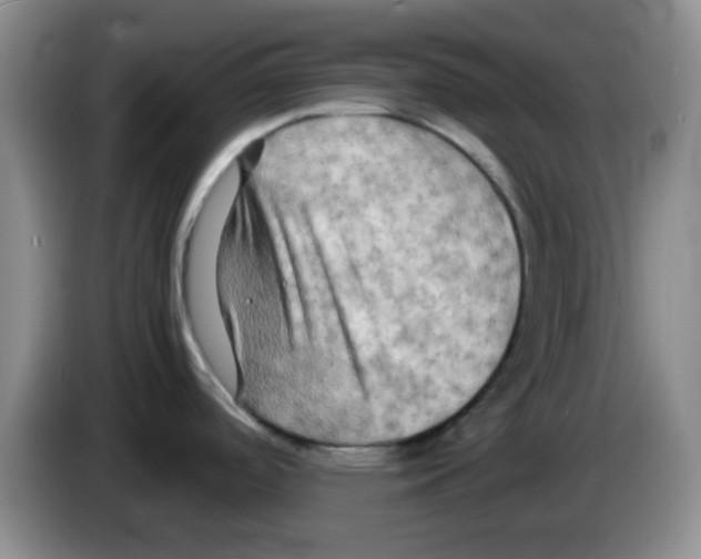 X0000083561488200703091606