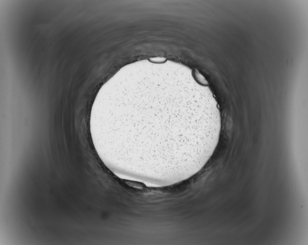 X0000083561489200703091605