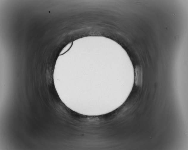 X0000083561491200703091605