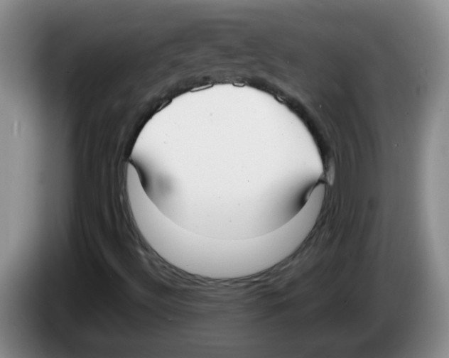 X0000083561492200703091605