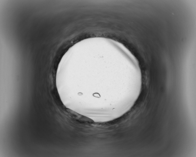 X0000083561493200703091605