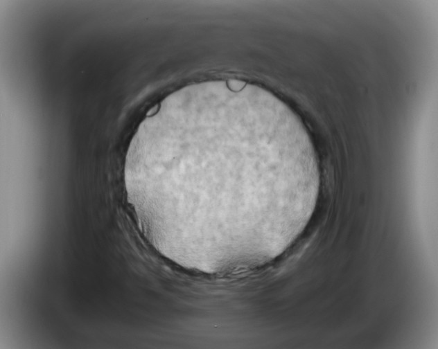 X0000083561494200703091605