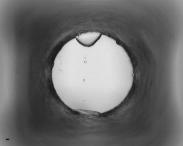 X0000083561495200703091605