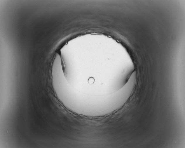 X0000083561496200703091605