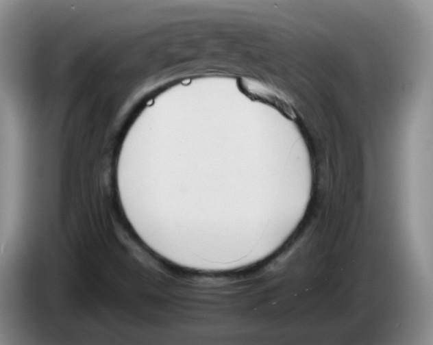 X0000083561499200703091605