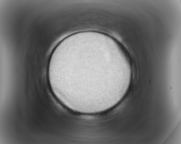 X0000083561500200703091605