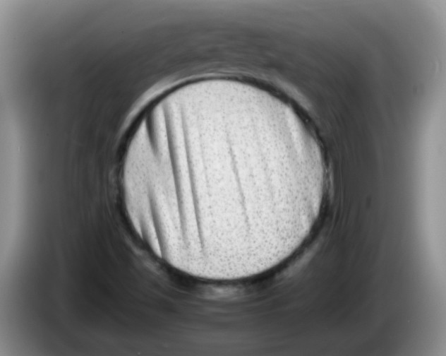 X0000083561501200703091605