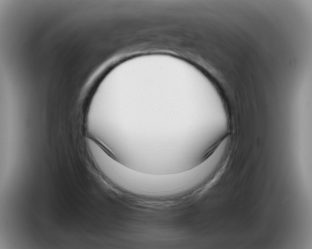 X0000083561502200703091605