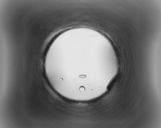 X0000083561503200703091605