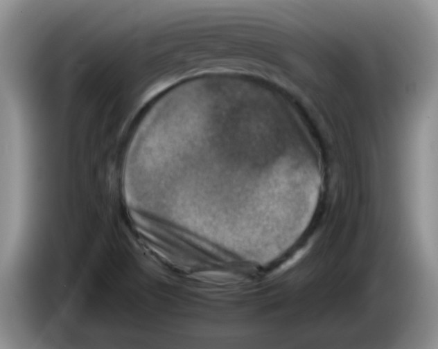 X0000083561505200703091605