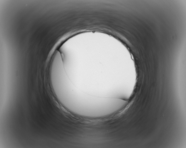 X0000083561506200703091605