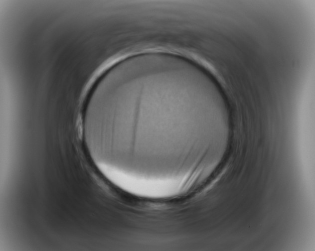 X0000083561509200703091605