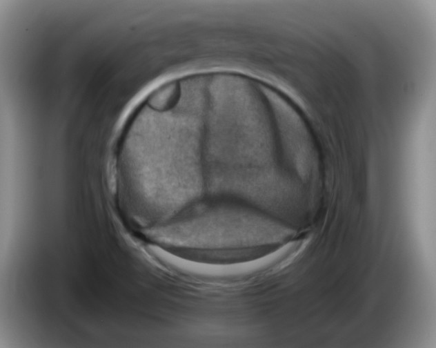 X0000083561510200703091605