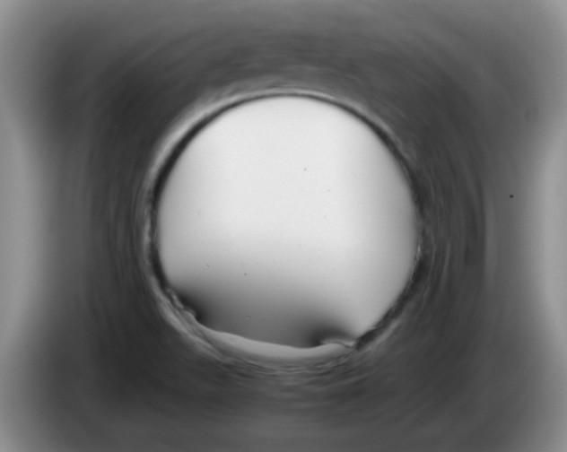 X0000083561511200703091605