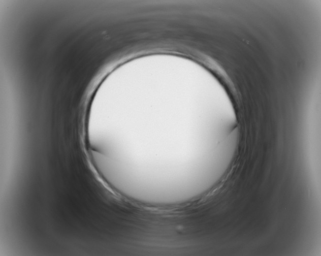 X0000083561512200703091605