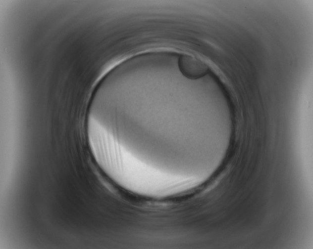 X0000083561513200703091605