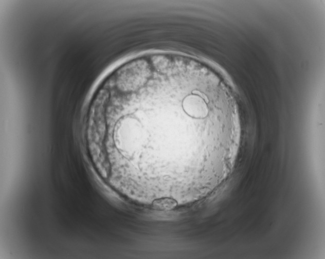 X0000083561514200703091605