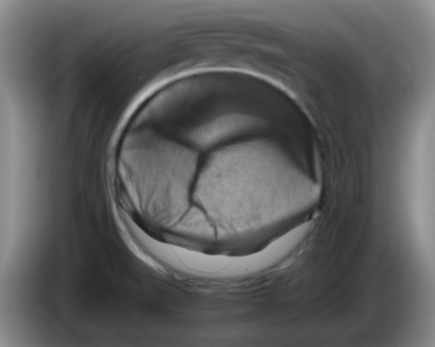 X0000083561519200703091605