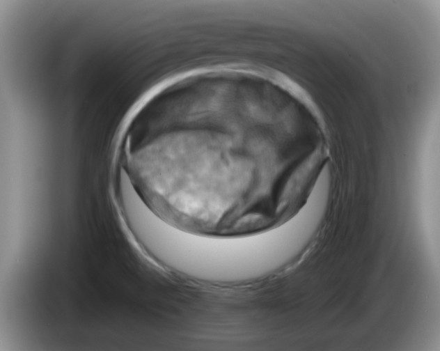 X0000083561520200703091605