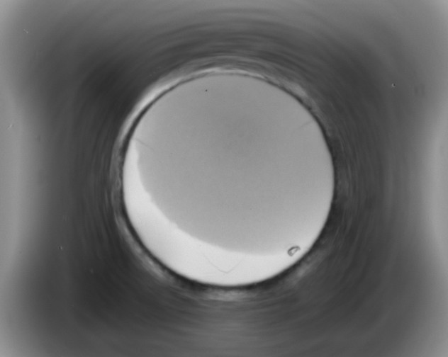 X0000083561522200703091605