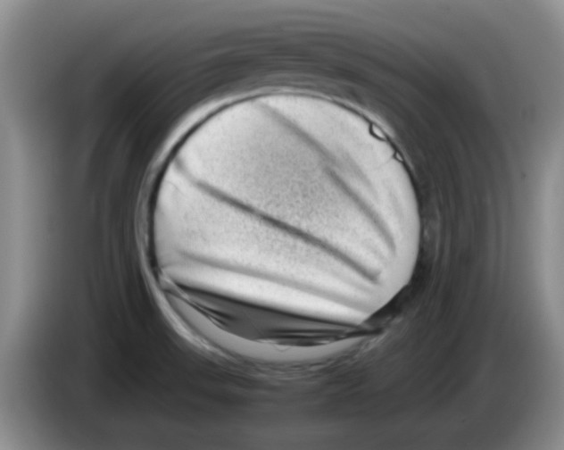 X0000083561523200703091606