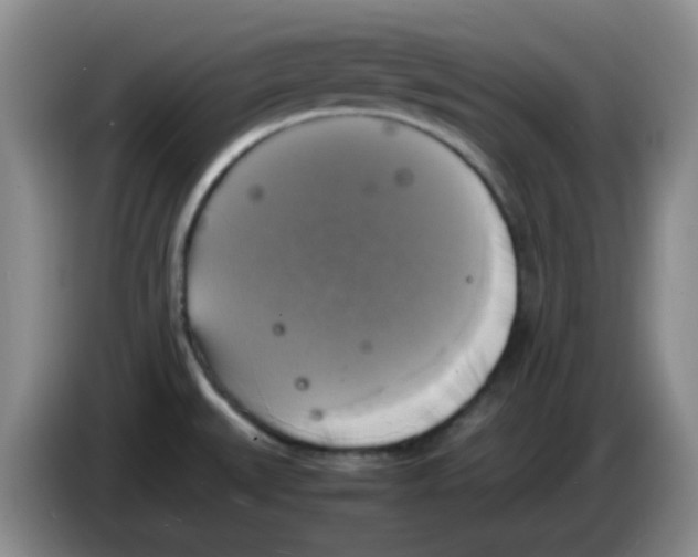 X0000083561527200703091606