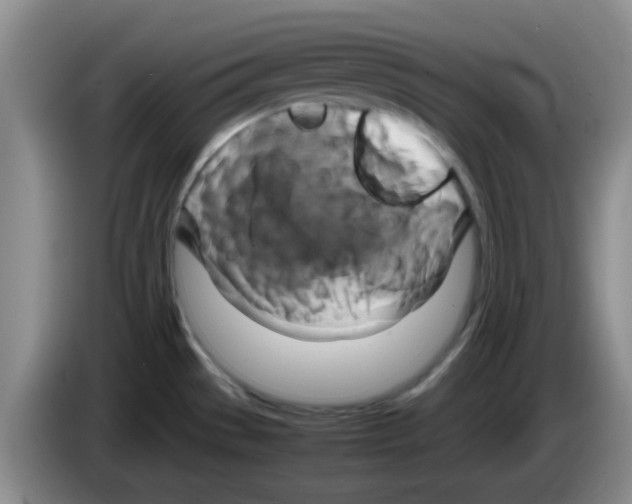 X0000083561529200703091606