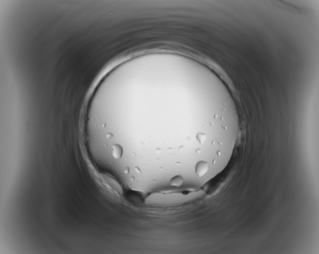 X0000083561530200703091606