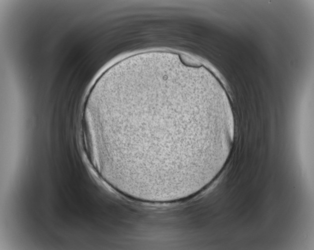 X0000083561534200703091606