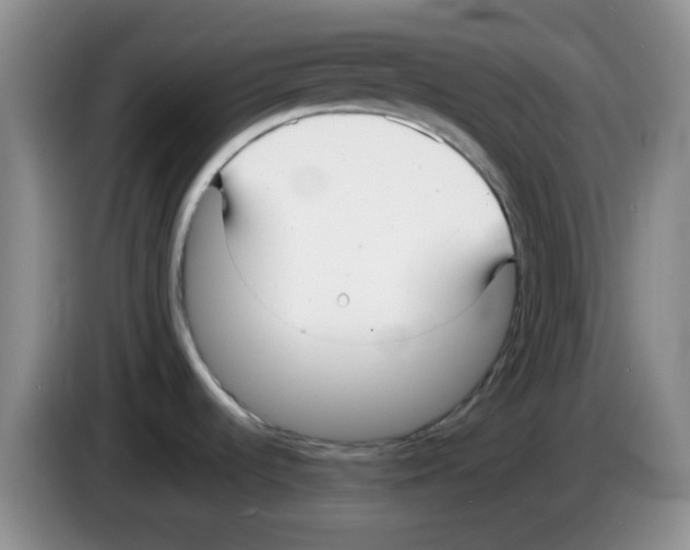 X0000083561536200703091606