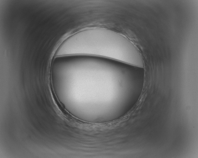 X0000083570003200702090827