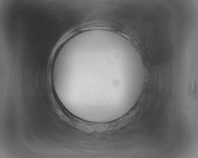 X0000083570004200702090827